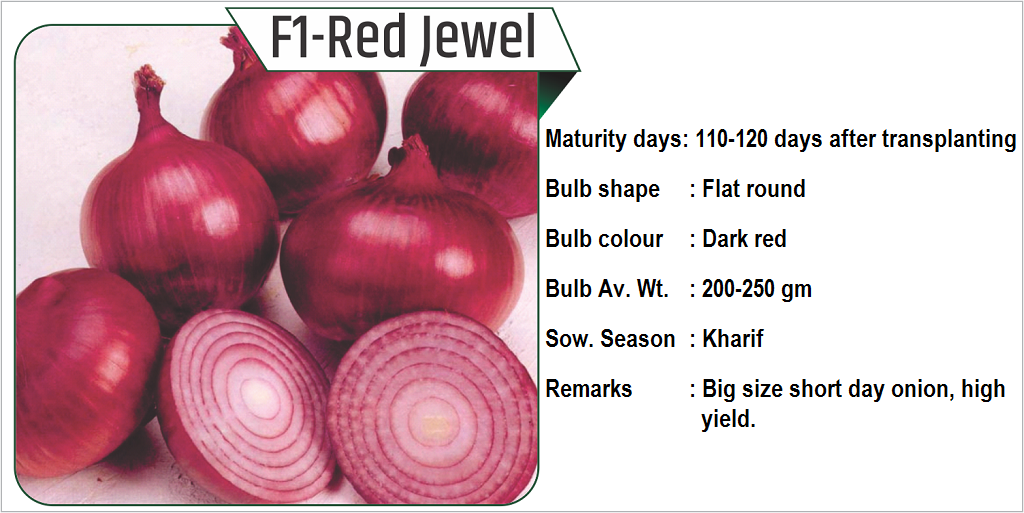 F1 Red Jewel